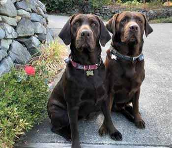 Earl and Maggie
